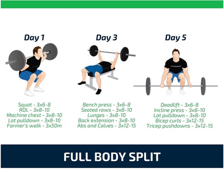 An example of a full-body workout split