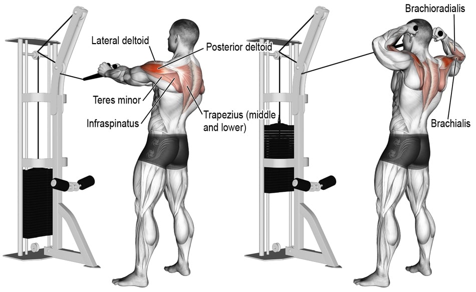 Facepulls
